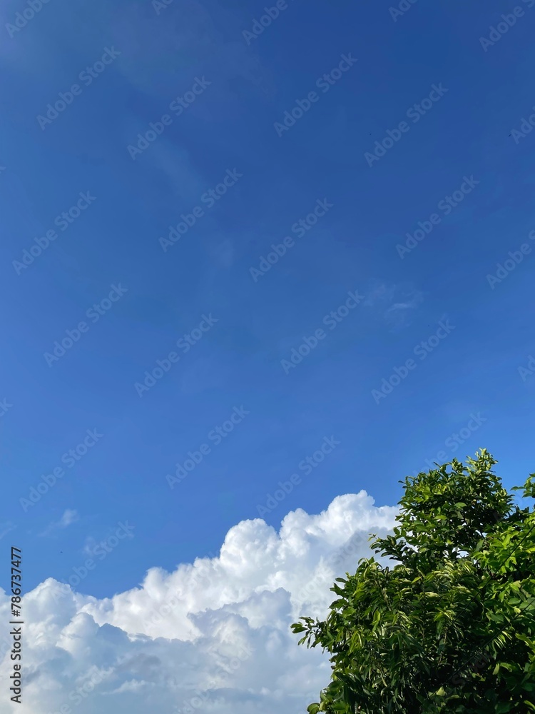 Summer blue sky cloud gradient light white background. Beauty clear cloudy in sunshine calm bright winter air bacground. Gloomy vivid cyan landscape in environment day horizon skyline view spring wind Summer blue sky cloud gradient light white background. Beauty clear cloudy in sunshine calm bright winter air bacground. Gloomy vivid cyan landscape in environment day horizon skyline view spring wind