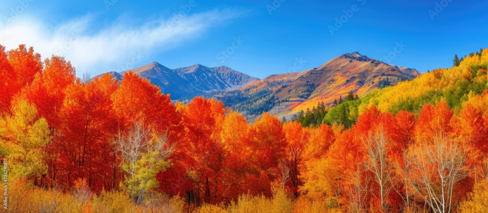 A picturesque autumn scene with mountains and trees ablaze in fiery colors 🍁🏔️ Nature's canvas in the stunning palette of fall! #AutumnSplendor