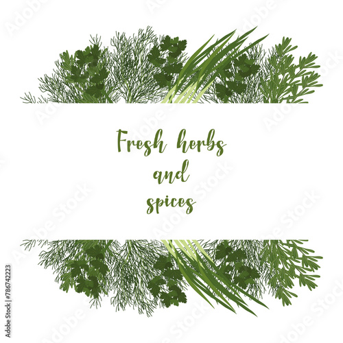 Fresh greens frame concept of healthy eating. Onion dill and parsley. Menu design cafe  restaurant  flyer  poster. Vector illustration.