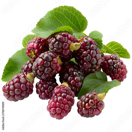  An HD image of fresh mulberries, their elongated shape and deep purple color, isolated on a Transparent background, PNG Cutout
