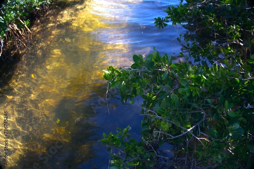 reflection in the water