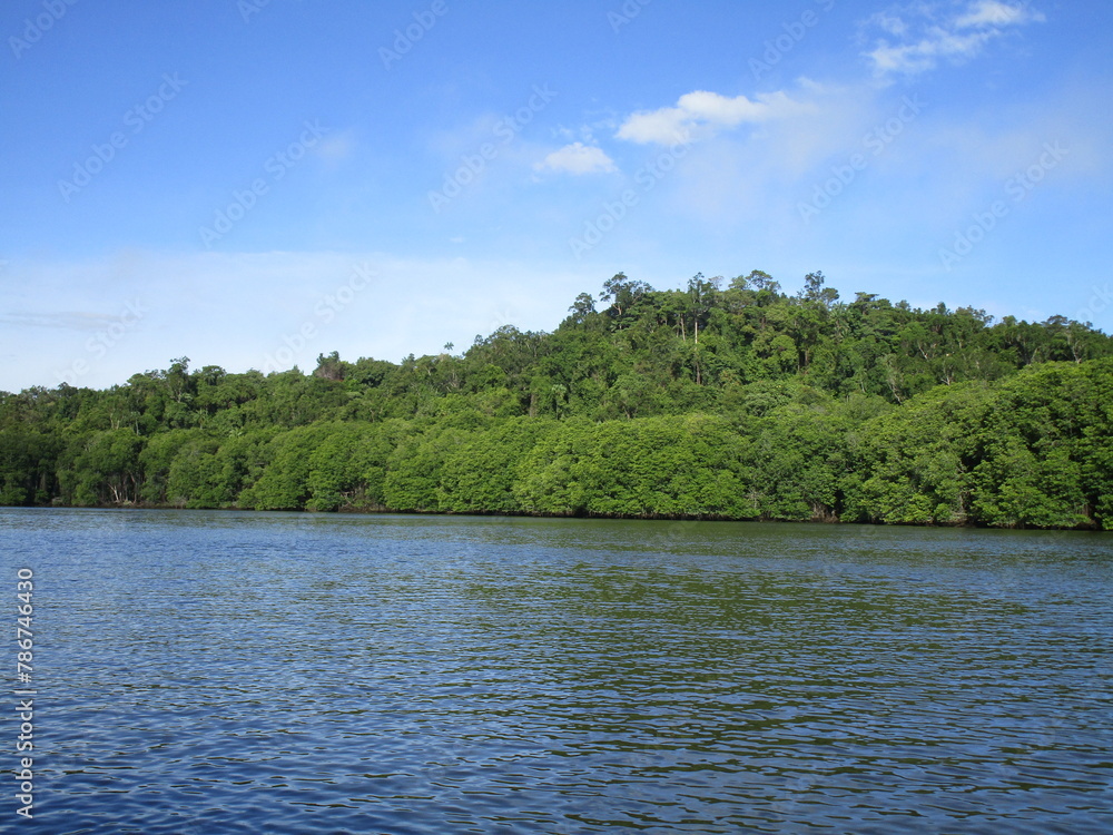 Fototapeta premium tropical river with dense rain forested bank
