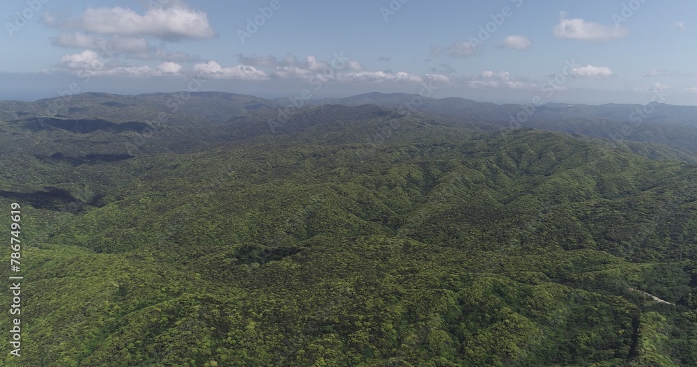 Obraz premium 奄美の自然