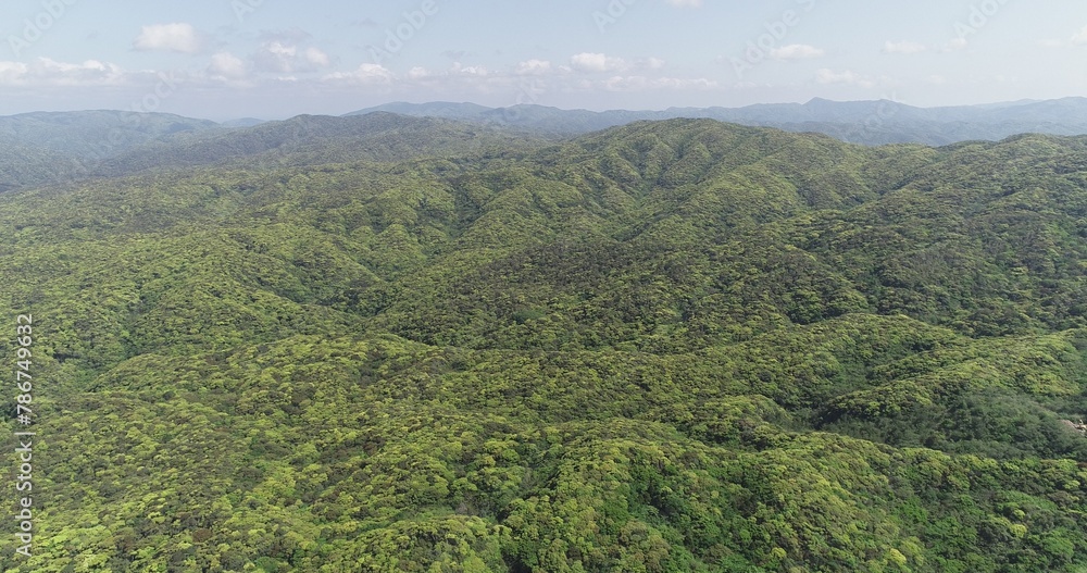 Obraz premium 奄美の自然