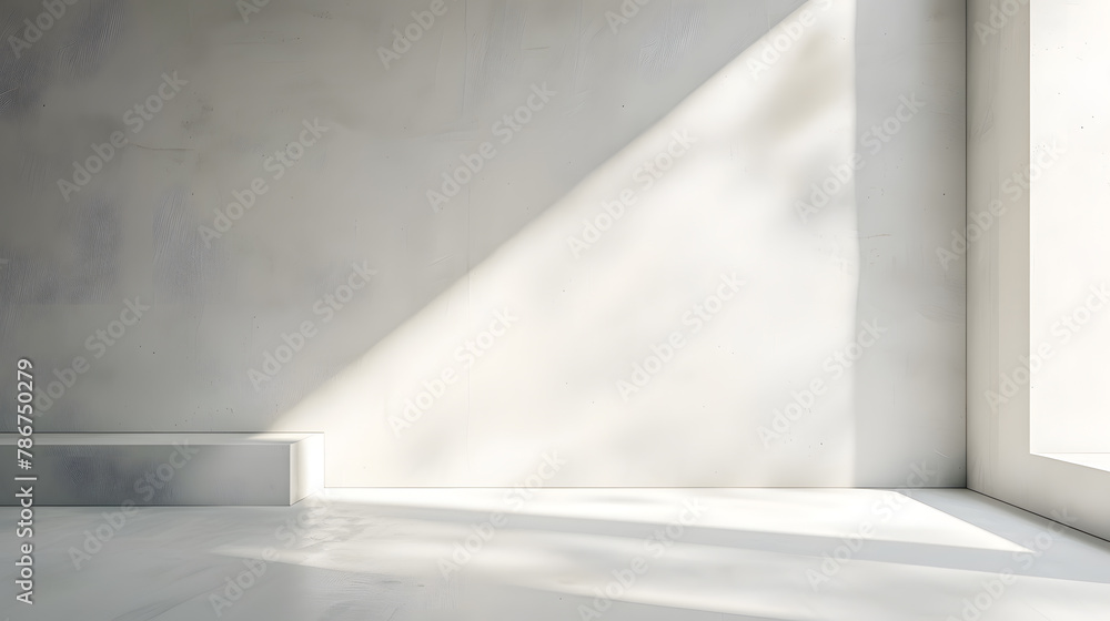 Fototapeta premium Minimalist photography background