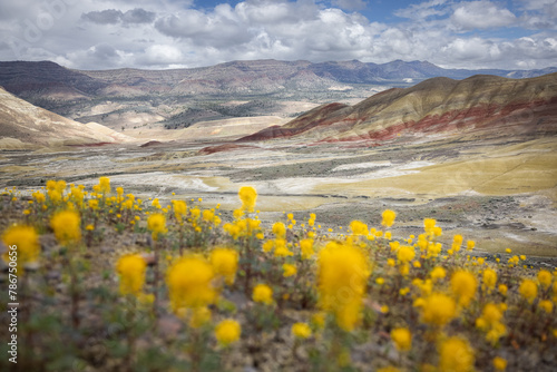 Beautiful and colorful landscape of the Painted Hills in Eastern Oregon, near John Day. photo