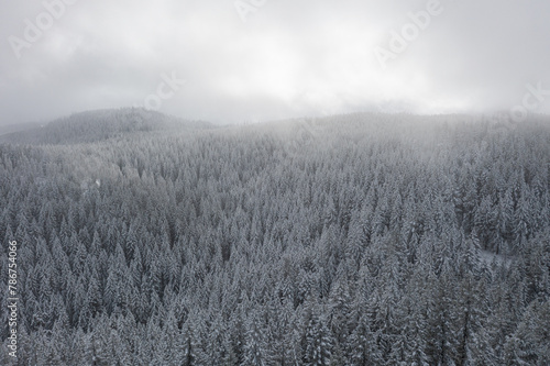 A snowy forest with trees covered in snow. The sky is cloudy and the trees are bare