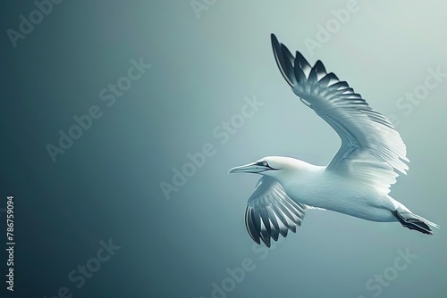 majestic seabird with wings spread in midair flight aigenerated illustration photo