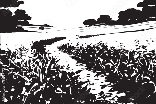 black and white picture of plot