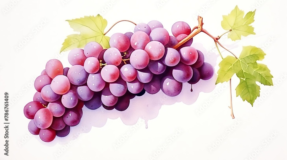 Obraz premium 枝付きのブドウの水彩イラスト