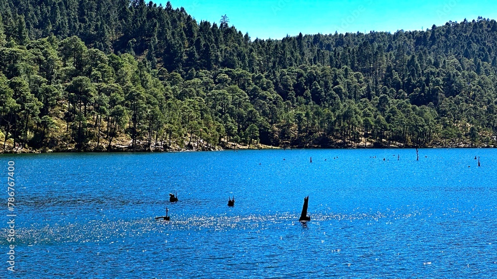 Obraz premium Scenic view of lake with trees in the background