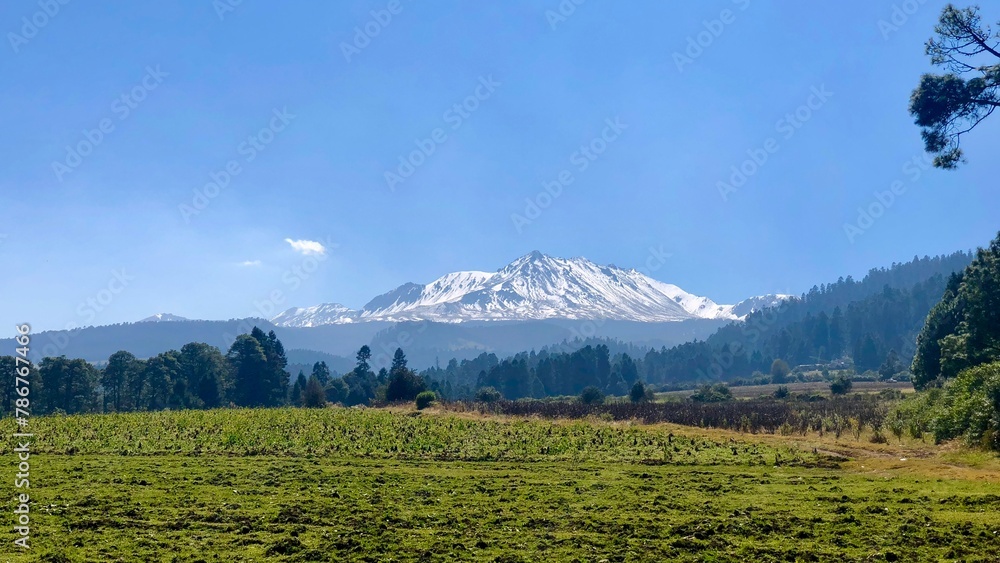 Fototapeta premium Scenic view of snowcapped mountain with trees and a blue sky