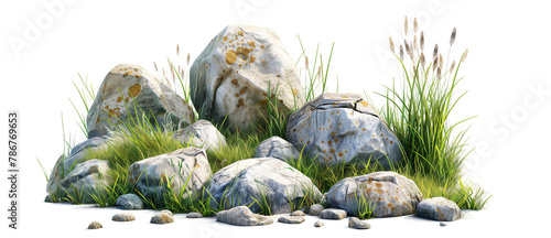 Assorted Isolated Rocks and Plants on Transparent Background - A Transparent PNG Collection of Realistic Stones and Greenery for Landscaping Design