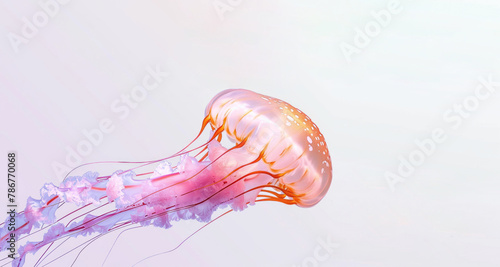 A transparent jellyfish with pink and orange colors is set against a light purple background, with white space at the top.