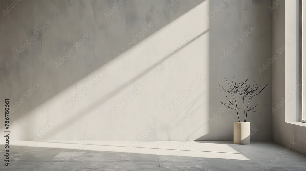 Obraz premium Minimalist photography background