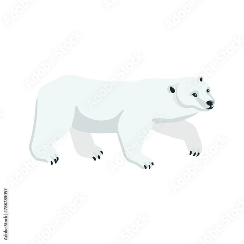 vector drawing polar bear, cartoon animal isolated at white background, hand drawn illustration