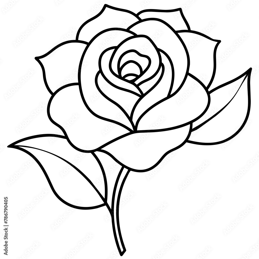 black rose isolated on white vector illustration black rose isolated on white vector illustration
