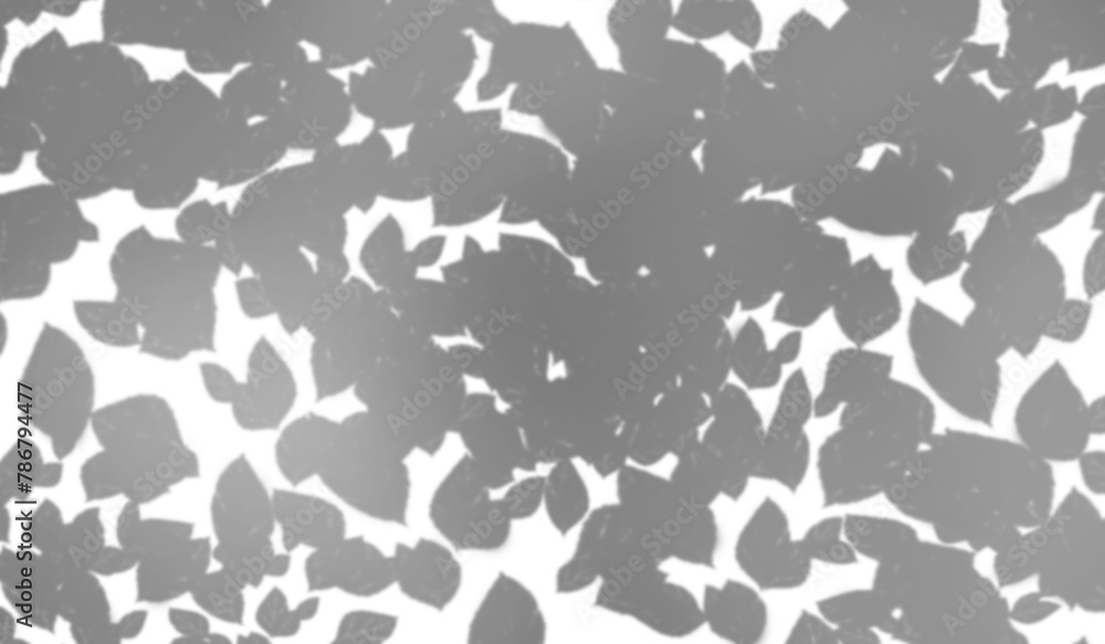 The effect of applying shadows on a transparent background. Light and shadows from the leaves of trees The effect of applying shadows on a transparent background. Light and shadows from the leaves of trees