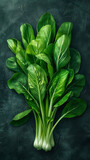 Beautiful presentation of Bok choy leaves, hyperrealistic food photography