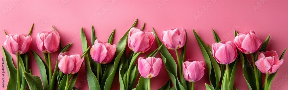 Pink Tulip Bouquet on Pastel Background for Spring Celebrations: Valentine's Day, Easter, Mother's Day and More - Top View Flat Lay with Copy Space Pink Tulip Bouquet on Pastel Background for Spring Celebrations: Valentine's Day, Easter, Mother's Day and More - Top View Flat Lay with Copy Space