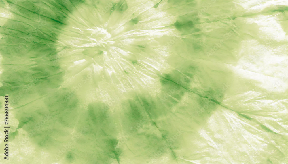 Obraz premium Blur Tie Dye Art. Watercolor Ink. Dirty Art Style. Summer Aquarelle Texture. Natural Graphic Dyed. Leaf Brushed Paper. Blur Brushed Material. Eco Graphic Dyed.