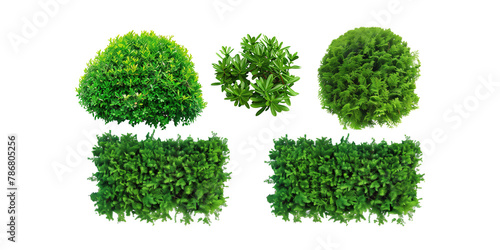 five isolated circular hedges with different varieties of lush, green against png background for garden designs