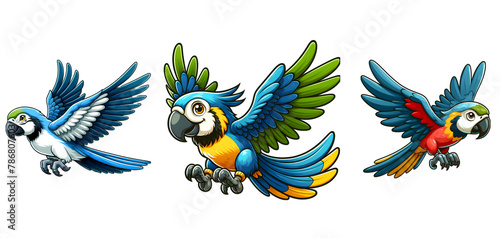 blue and yellow macaw