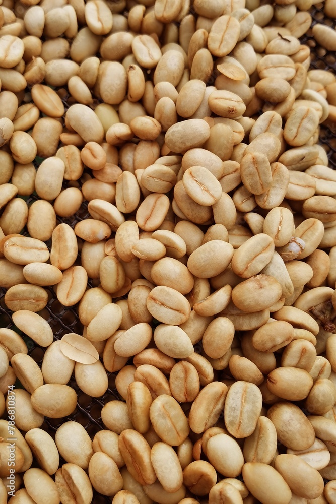 Close up of coffee beans for background Close up of coffee beans for background