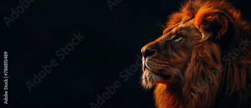 A majestic lion silhouette against backdrop of neon pink and blue smoke, enchanting atmosphere.