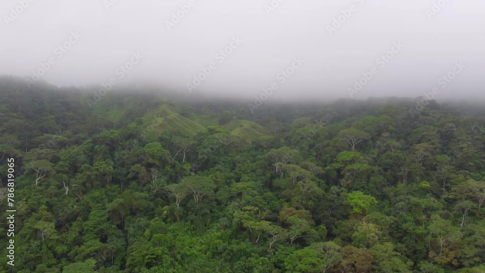 Aerial image of a large environmental preservation area in Santa Marta at dawn in Colombia Aerial image of a large environmental preservation area in Santa Marta at dawn in Colombia