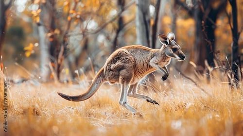 A kangaroo is running through a field of yellow grass. Concept of freedom and energy as the kangaroo leaps through the grass photo