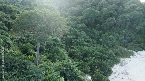 Drone pans around Tayrona forest as it touches the beach. photo