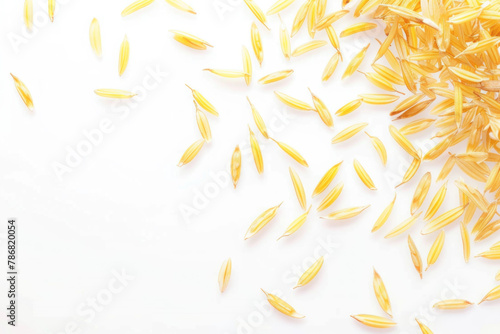 Golden Pasta Shells Scattered Artistically on a Bright White Background, Top View photo