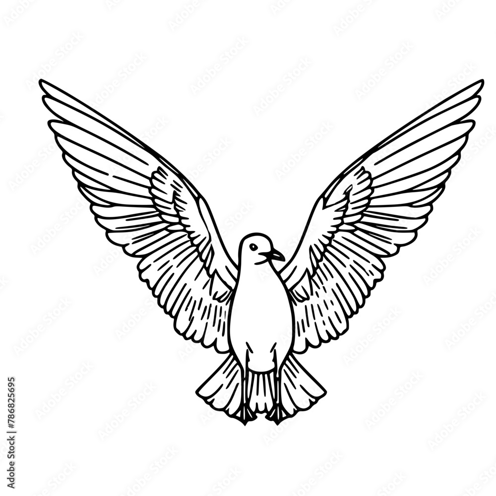 Obraz premium Line art a flying bird