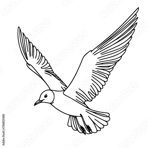 Line art flying Seagull bird illustration