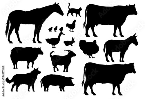 silhouette of farm animals and livestocks photo
