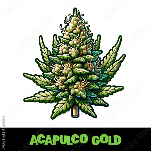 Vector Illustrated Acapulco Gold Cannabis Bud Strain Cartoon