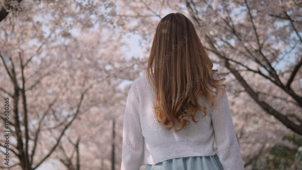 Young Caucasian Girl With Long Blonde Hair Walking Along Sakura Trees In Seocho, Seoul, South Korea. - follow shot Young Caucasian Girl With Long Blonde Hair Walking Along Sakura Trees In Seocho, Seoul, South Korea. - follow shot