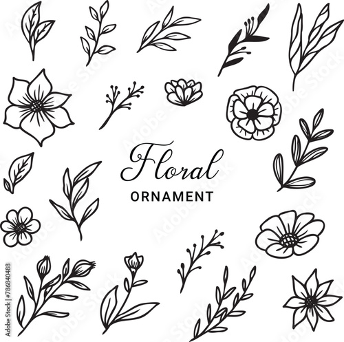 Set of  hand drawn leaves and flower decorative floral element