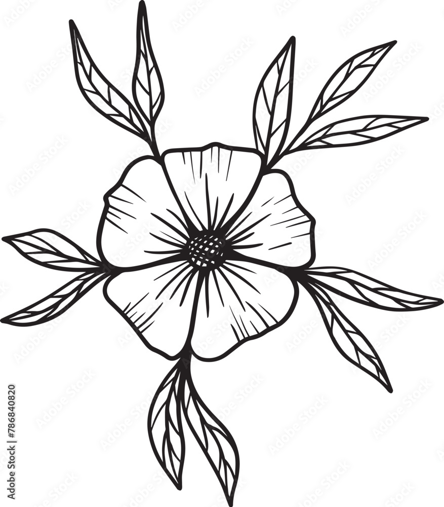Obraz premium Hand-drawn floral arrangement outlines design flowers and leaves bouquet. Sketch design of floral decorative