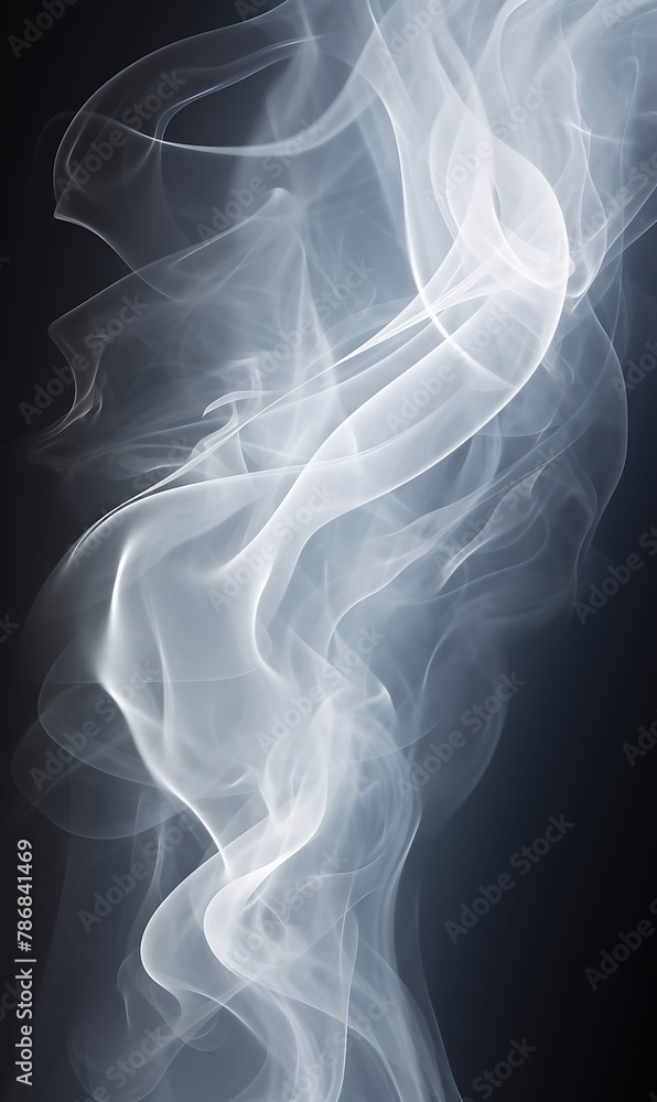 Fototapeta premium Smoke on a black background