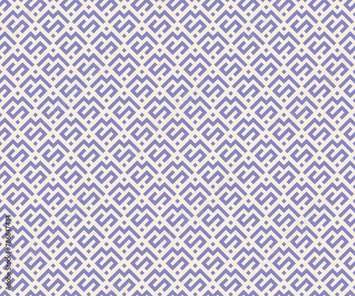 The geometric pattern with lines. vector background texture.