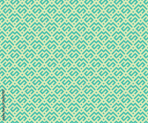 The geometric pattern with lines. vector background texture.