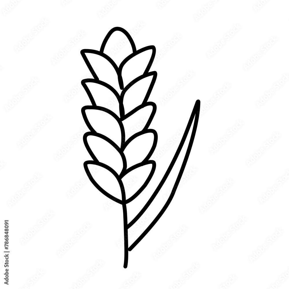 rice outline rice outline