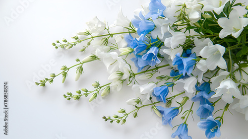 forget me not flowers, Bouquet of white and blue bells on a white background.
