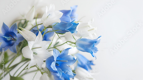 blue iris flowers, Bouquet of white and blue bells on a white background.