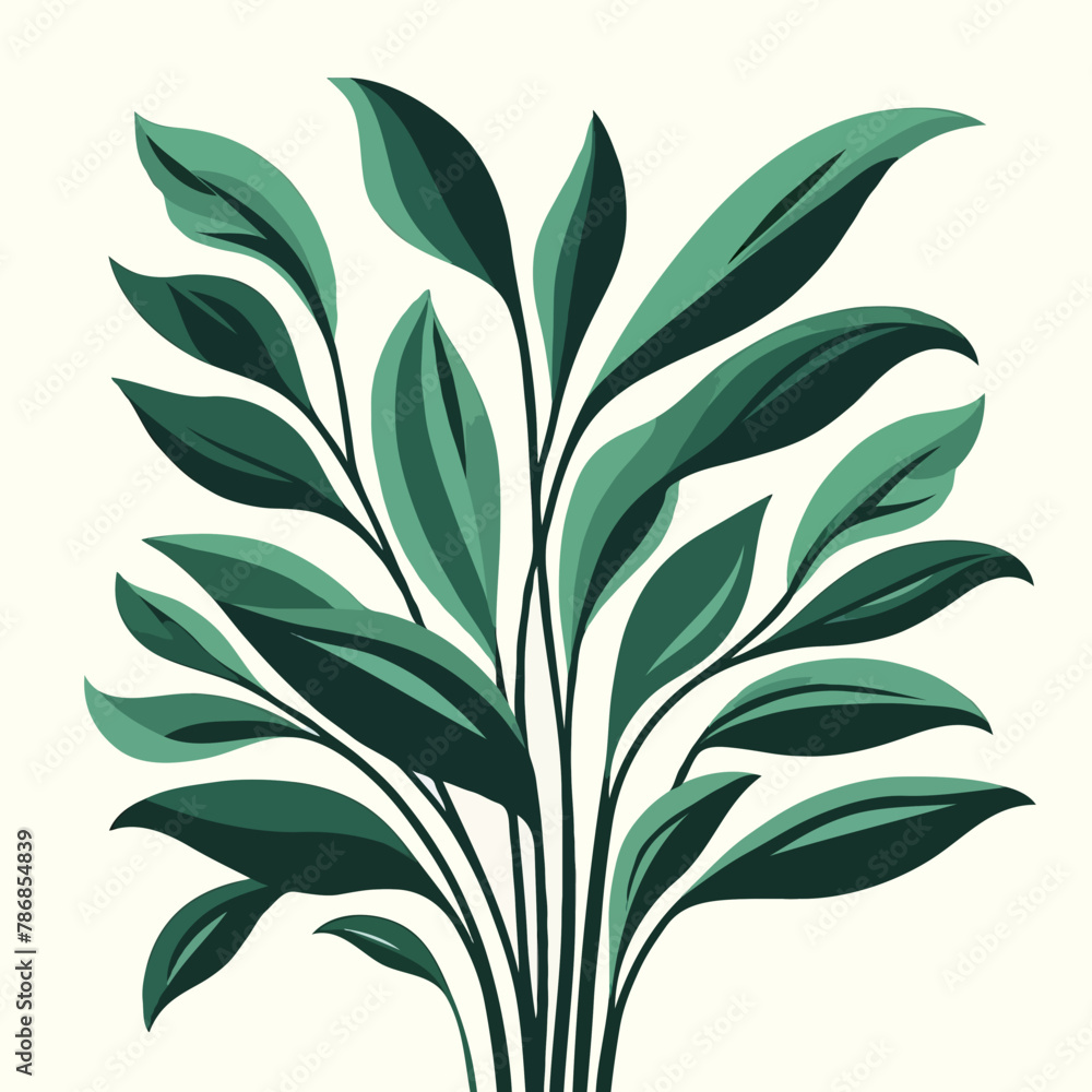 Fototapeta premium Indoor plant interior design decor money plant cactus in a tub white background green eco friendly studio design vector
