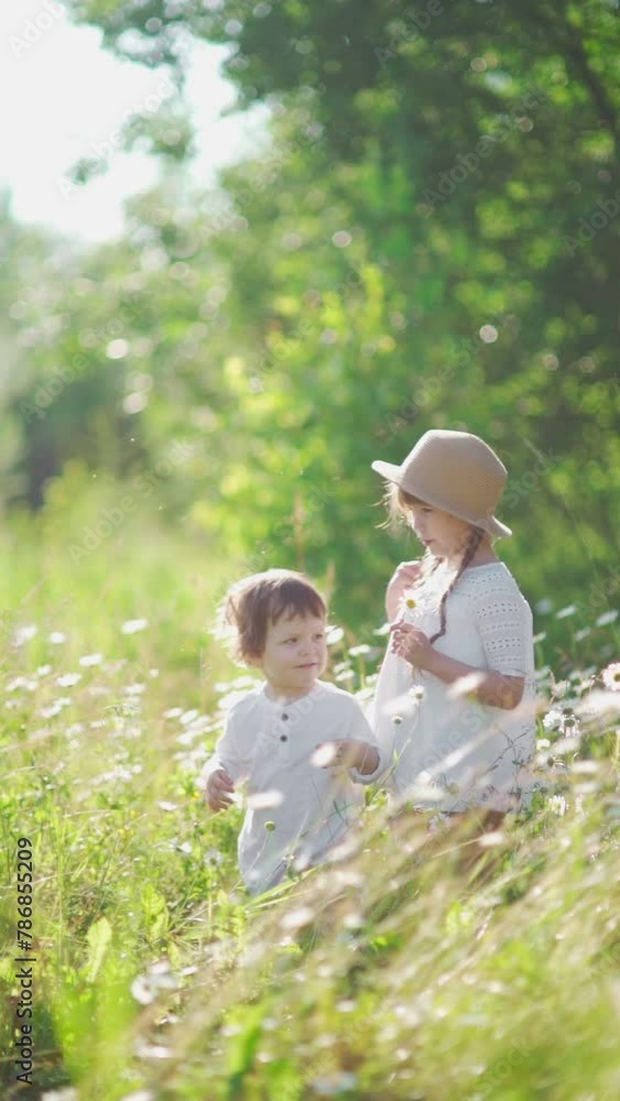 A handsome big sister gives daizy to his cute little brother. Funny and happy children, walking and playing together on the green meadow in the park at the sunny daytime. Concept friendly family and A handsome big sister gives daizy to his cute little brother. Funny and happy children, walking and playing together on the green meadow in the park at the sunny daytime. Concept friendly family and