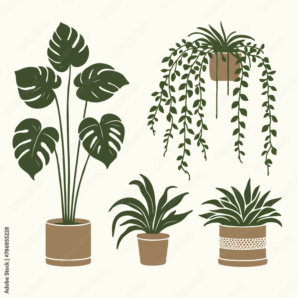 Indoor plant interior design decor money plant cactus in a tub white background green eco friendly studio design vector Indoor plant interior design decor money plant cactus in a tub white background green eco friendly studio design vector