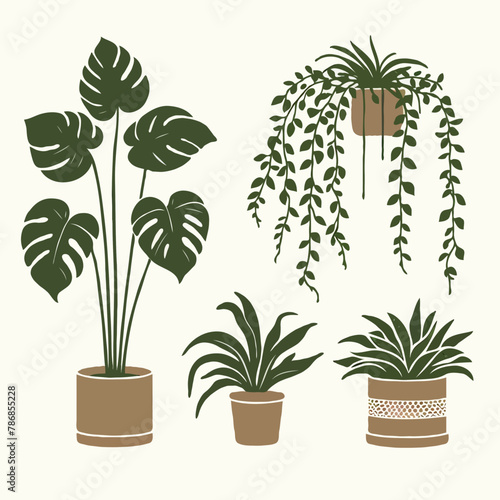 Indoor plant interior design decor money plant cactus in a tub white background green eco friendly studio design vector
